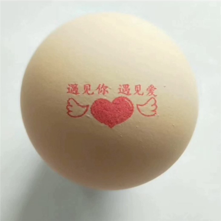 Egg Date Printer Printing Machine